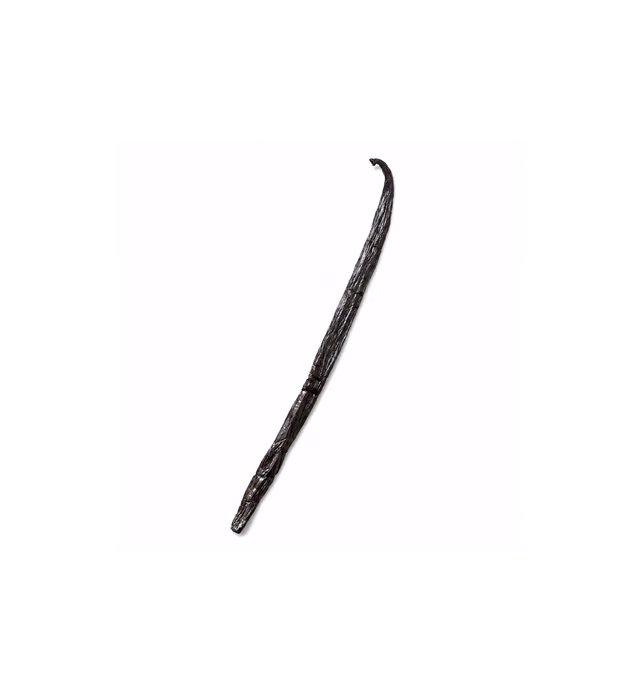 Gousse de vanille Saint Graal de Madagascar
